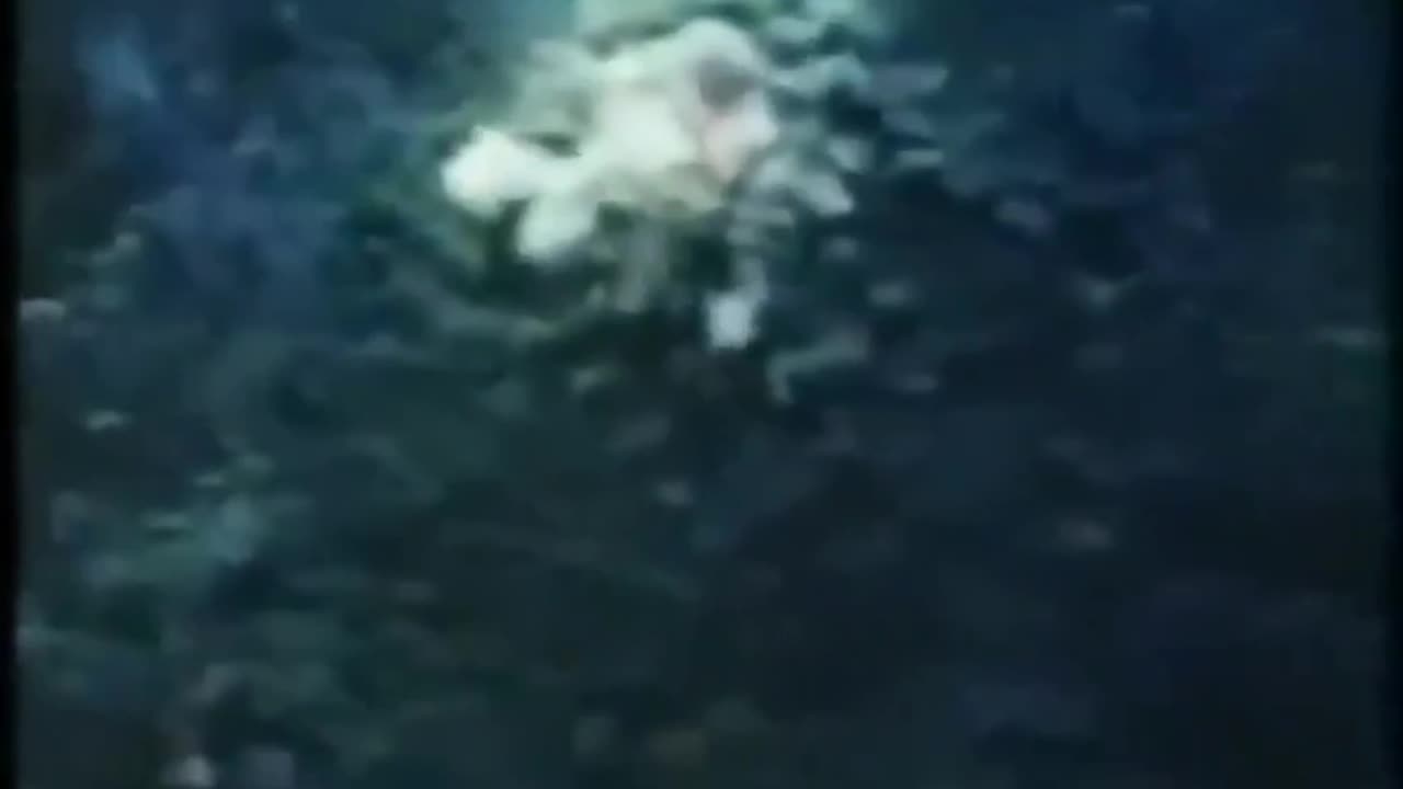 VIETNAM: GULF OF TONKIN FRAUD