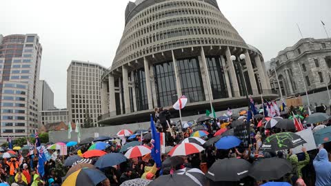 March On Wellington 16 Dec 2021 Pt 5 of 6