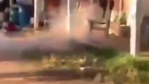 Funny videos