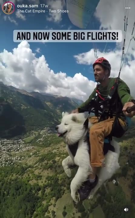 The ultimate version of sticking your head out of a car window