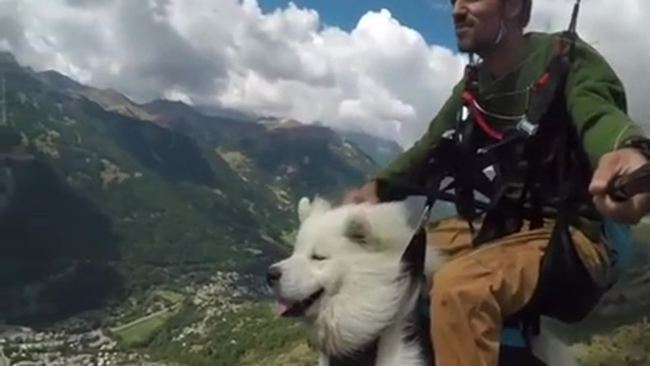 The ultimate version of sticking your head out of a car window