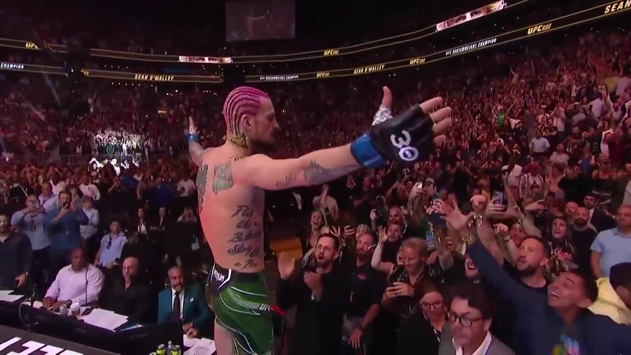 Sean O’Malley KOs Aljamain Sterling at UFC 292