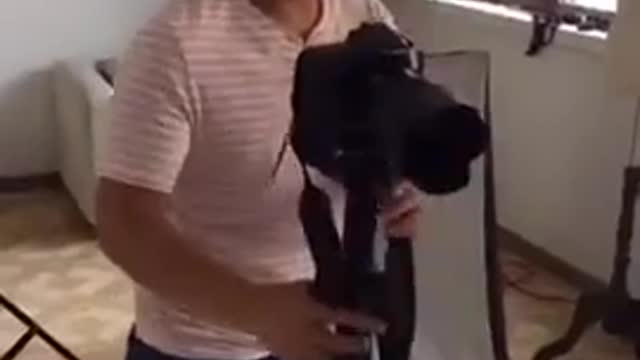 Funny video 2022
