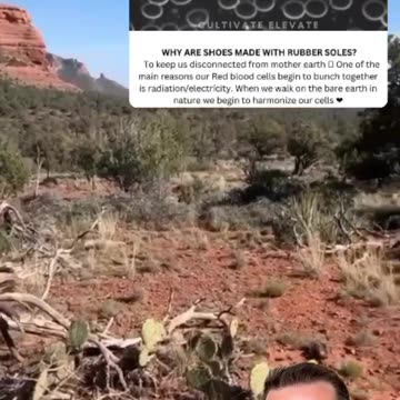 Barefoot grounding & Free healing