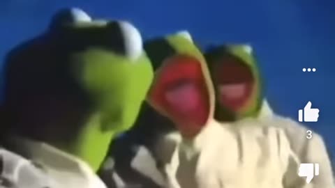 Kermit just wanted to tell you something