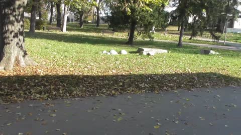 Крепость в Белграде