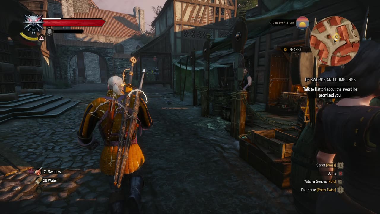 THE WITCHER 3 WILD HUNT Part 59