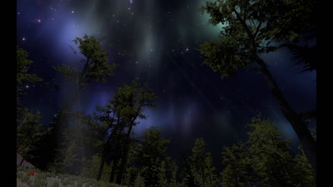 Beauty of nature / night forest filled with starlight