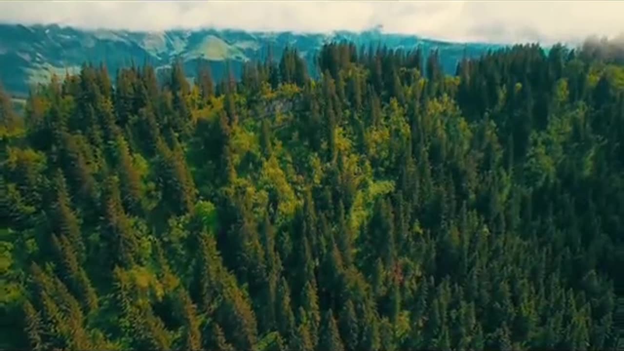 Earth without humain