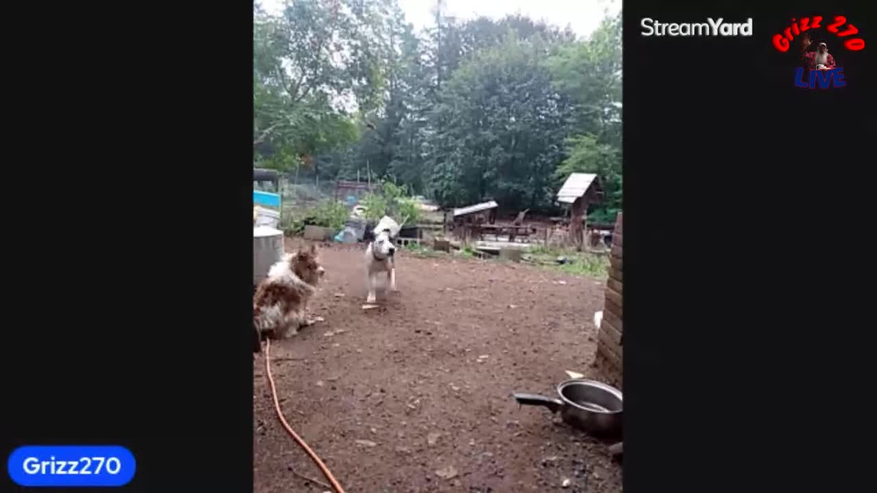 QuadAir verses Fajita