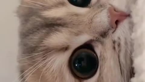 Adorable❤️