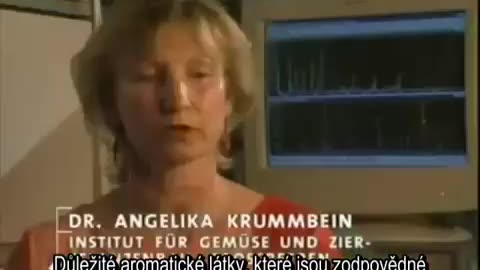 EU SILÁŽNÍ JÁMA
