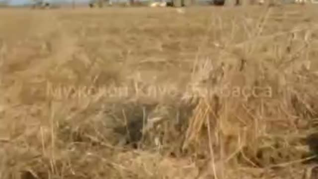 Movement of Ukrainian vehicles in the Kiev region
