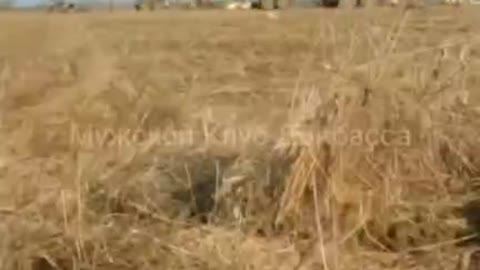 Movement of Ukrainian vehicles in the Kiev region
