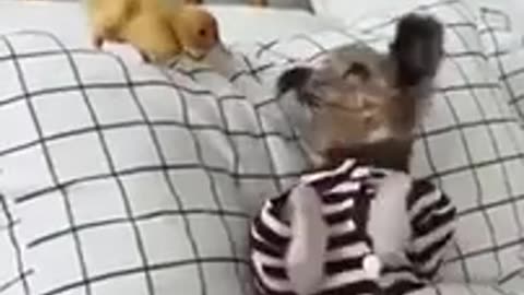 A Drop of Sweetness #shorts #viral #shortsvideo #video