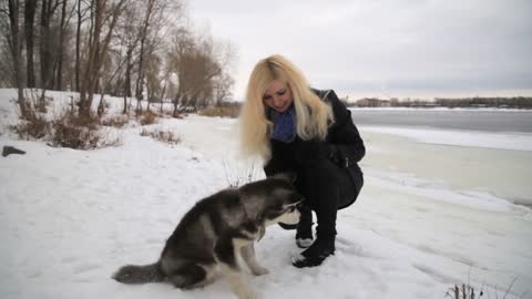 Winter landscape with blonde girl playing with siberian husky malamute dogs outside