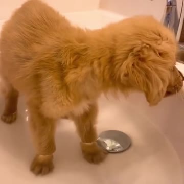 This is my hair wet wet🛀