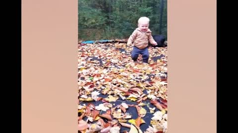 Baby and dog play together