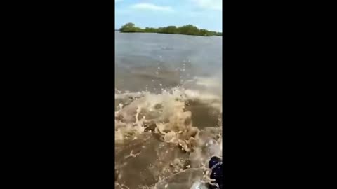 WHAT🤔IN THE LIVING🔥HELL IS THIS👀IN THE🚣WATER❓