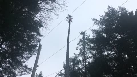 Small top three times the power line height double flip