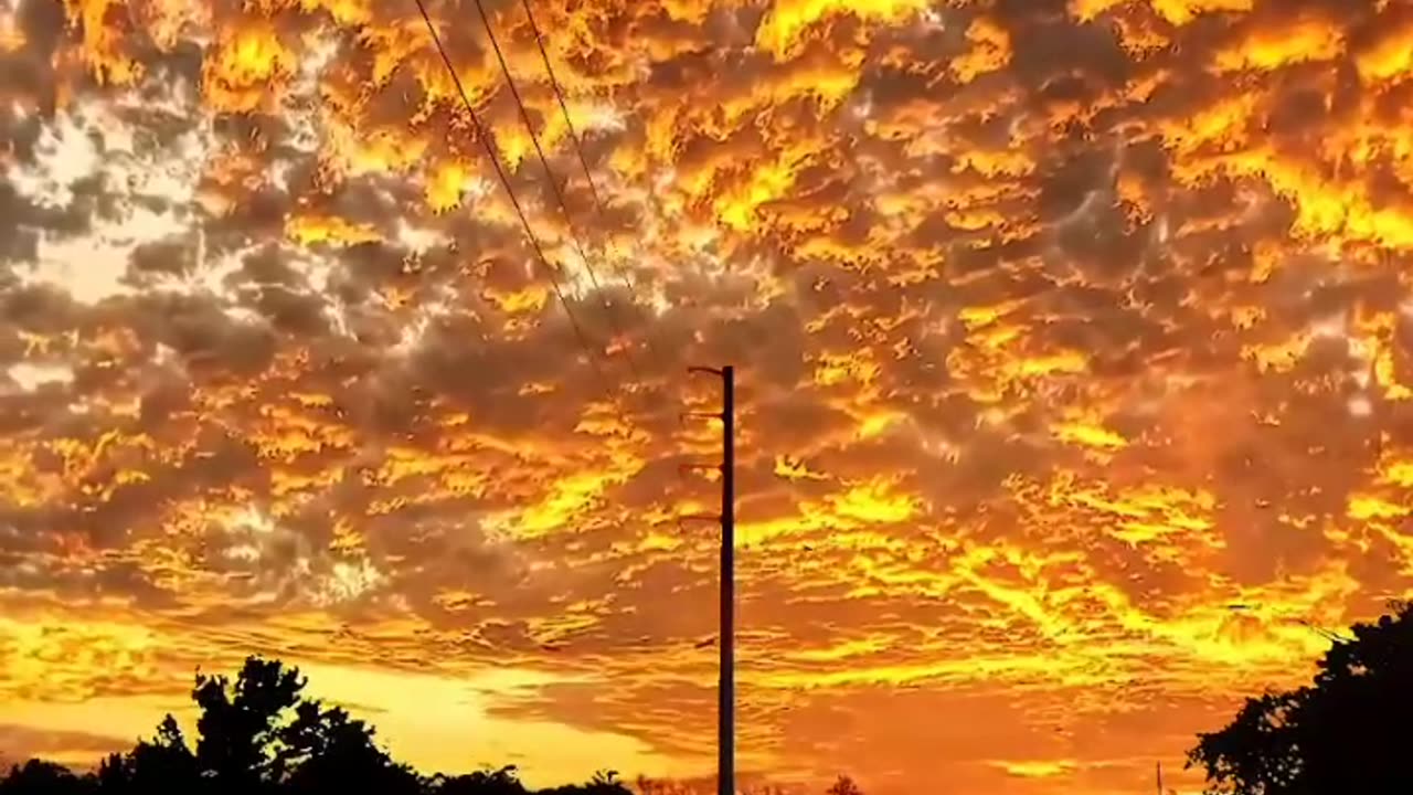 A Visual Symphony" "Exploring Earth's Beauty: A Nature Adventure" Nature's Beauty Unveiled