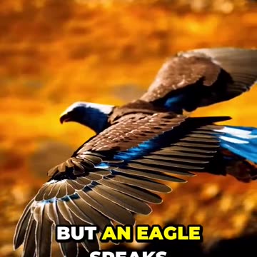 Unleashing the Power of the Eagle Mindset: What You Didn't Know!