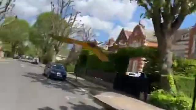 Bicyclist Takes his Pet Macaws to Fly Around the Neighborhood