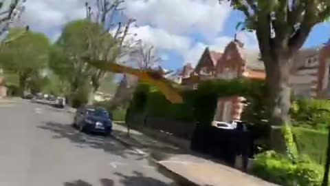 Bicyclist Takes his Pet Macaws to Fly Around the Neighborhood