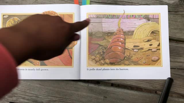 “An Earthworm’s Life” Read Aloud_Cut
