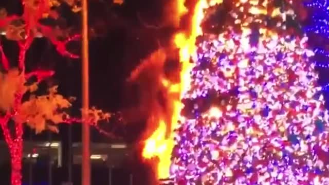 Arsonist Torches Fox News's Christmas Tree