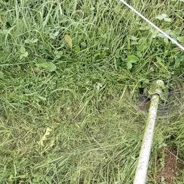 Badger 4 stroke trimmer