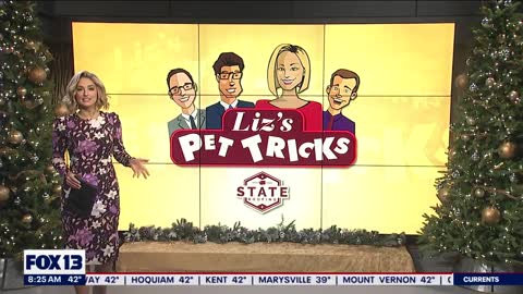 Liz's Pet Tricks for Thursday, December 8 FOX 13 Seattle