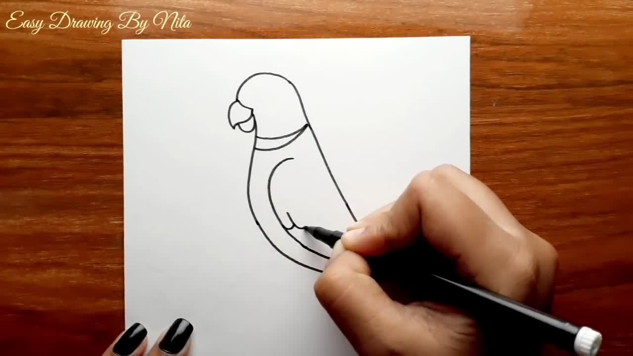 Parrot Drawing -- How to Draw Parrot Step by Step for Beginners -- Bird Drawing Colour