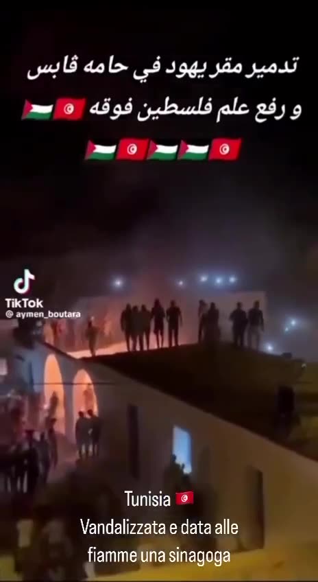 Tunisia, Set a synagogue on fire, burned Torah and hoisted Palestinian flag