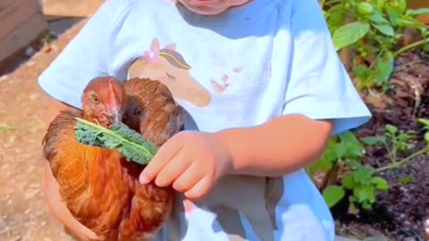 Funny video