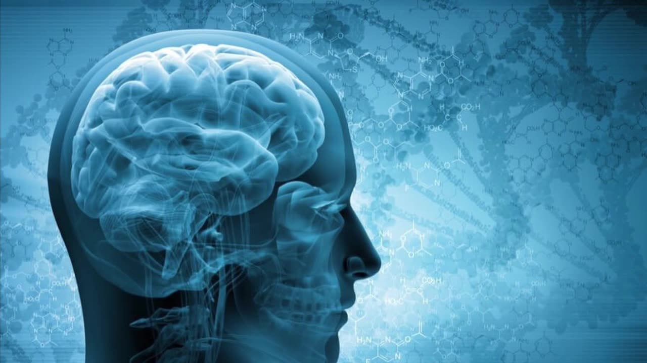 Humans Are Not Complex (Human Evolution And Human Behavior)