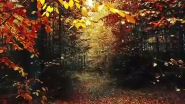 Time with God - August 26