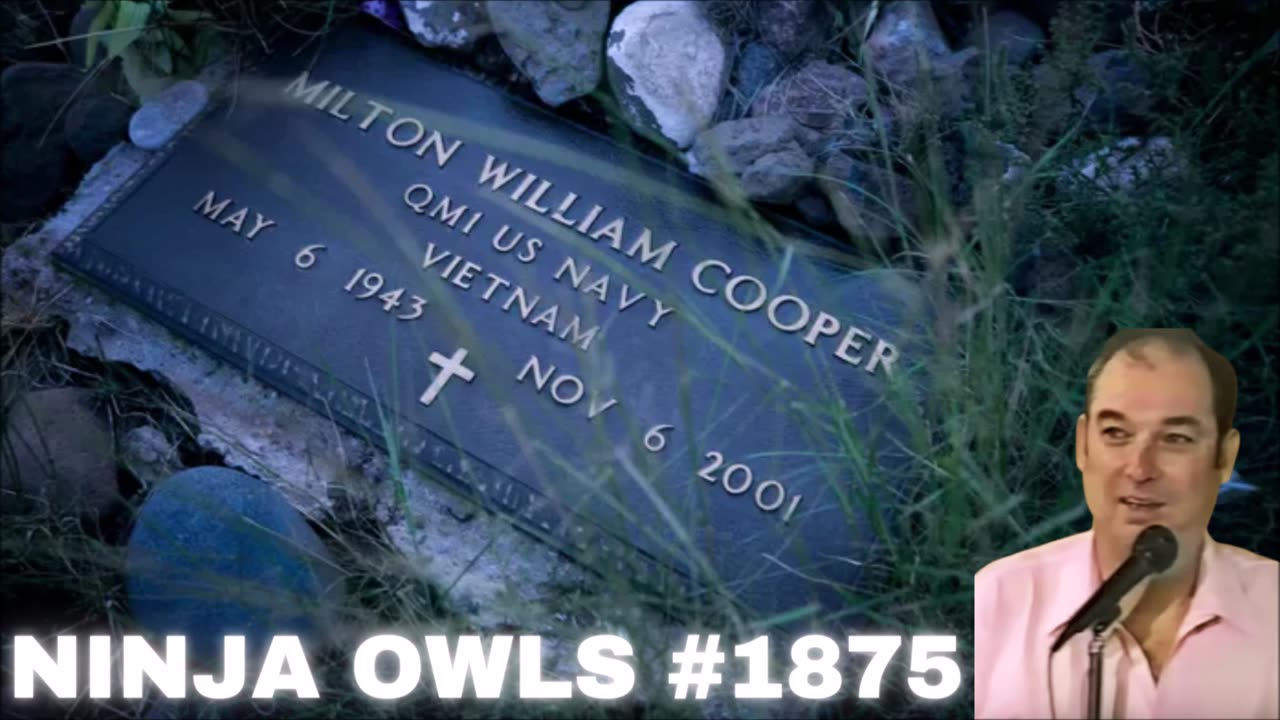 Attack Of Ninja Owls #1875 - Bill Cooper (2001)