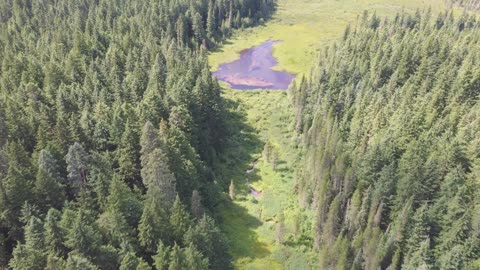 little crater lake, 08-07-2021