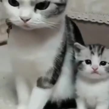 Monther Child #shorts