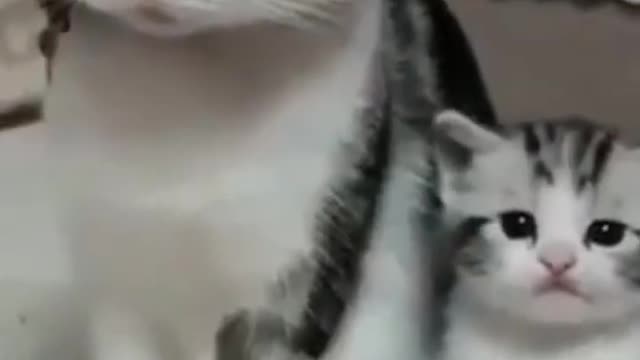 Monther Child #shorts