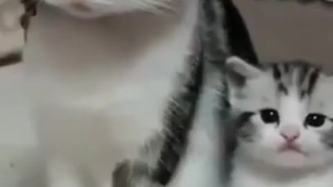 Monther Child #shorts