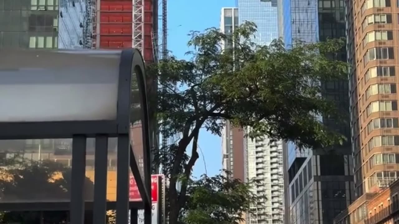 Crane Collapses in New York City's Hudson Yard Neighborhood