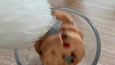 You have no idea how delicious it is