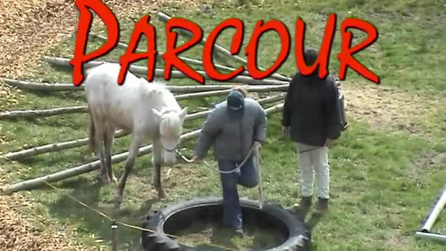Ausbildung – PARCOUR