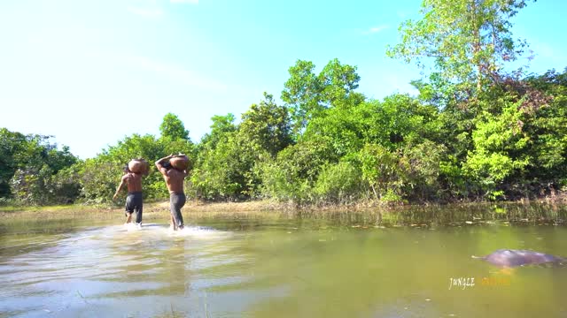 Build swimming pool in the jungle