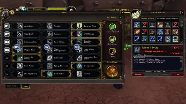 Learn how to play World of Warcraft