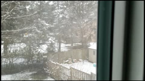 Spraying White Vinegar out my window