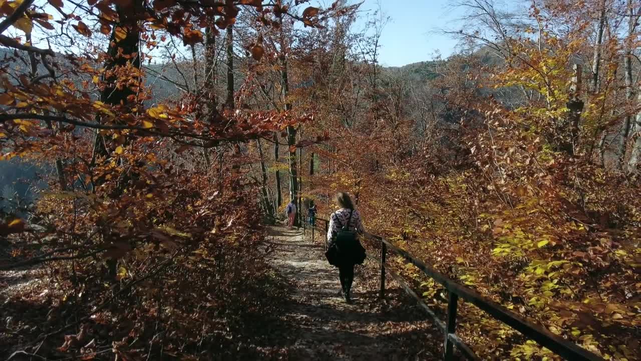 Poland - Jura Krakowsko Częstochowska