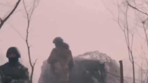 Ukrainian Artillery Unit